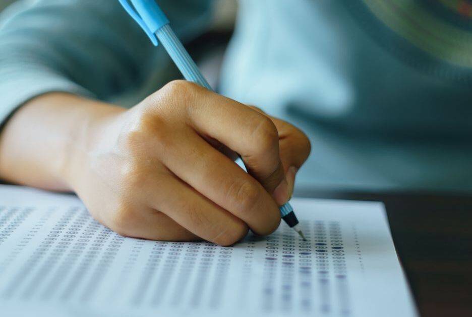 Imatge de la notícia: Oberta la convocatòria d’ajuts per a material escolar i les beques de menjador d’escoles bressol 